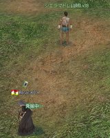 こっち見ないで